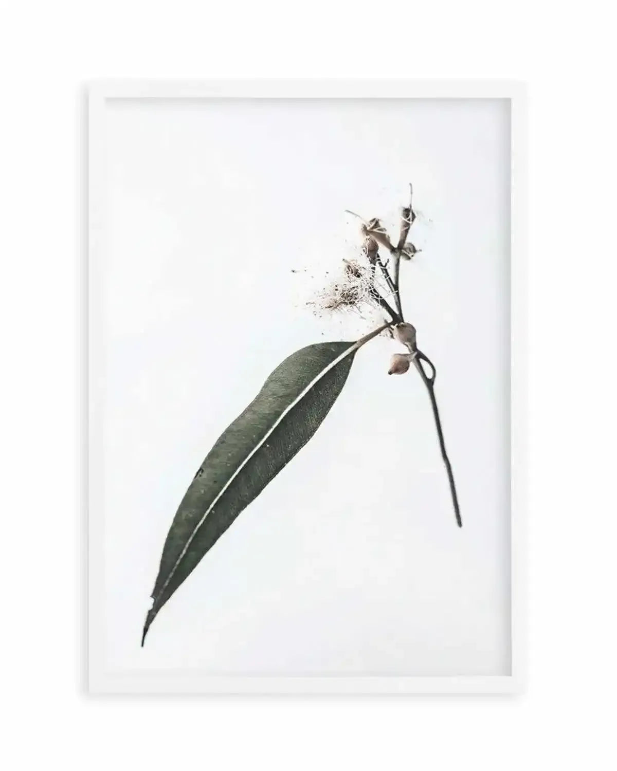 Floating Gum Art Print from Olive et Oriel where you can shop wallpaper and artworks online