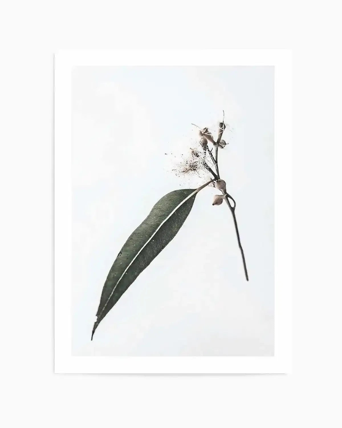 Floating Gum Art Print from Olive et Oriel where you can shop wallpaper and artworks online