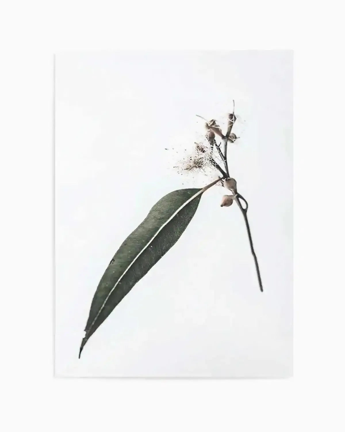 Floating Gum Art Print from Olive et Oriel where you can shop wallpaper and artworks online