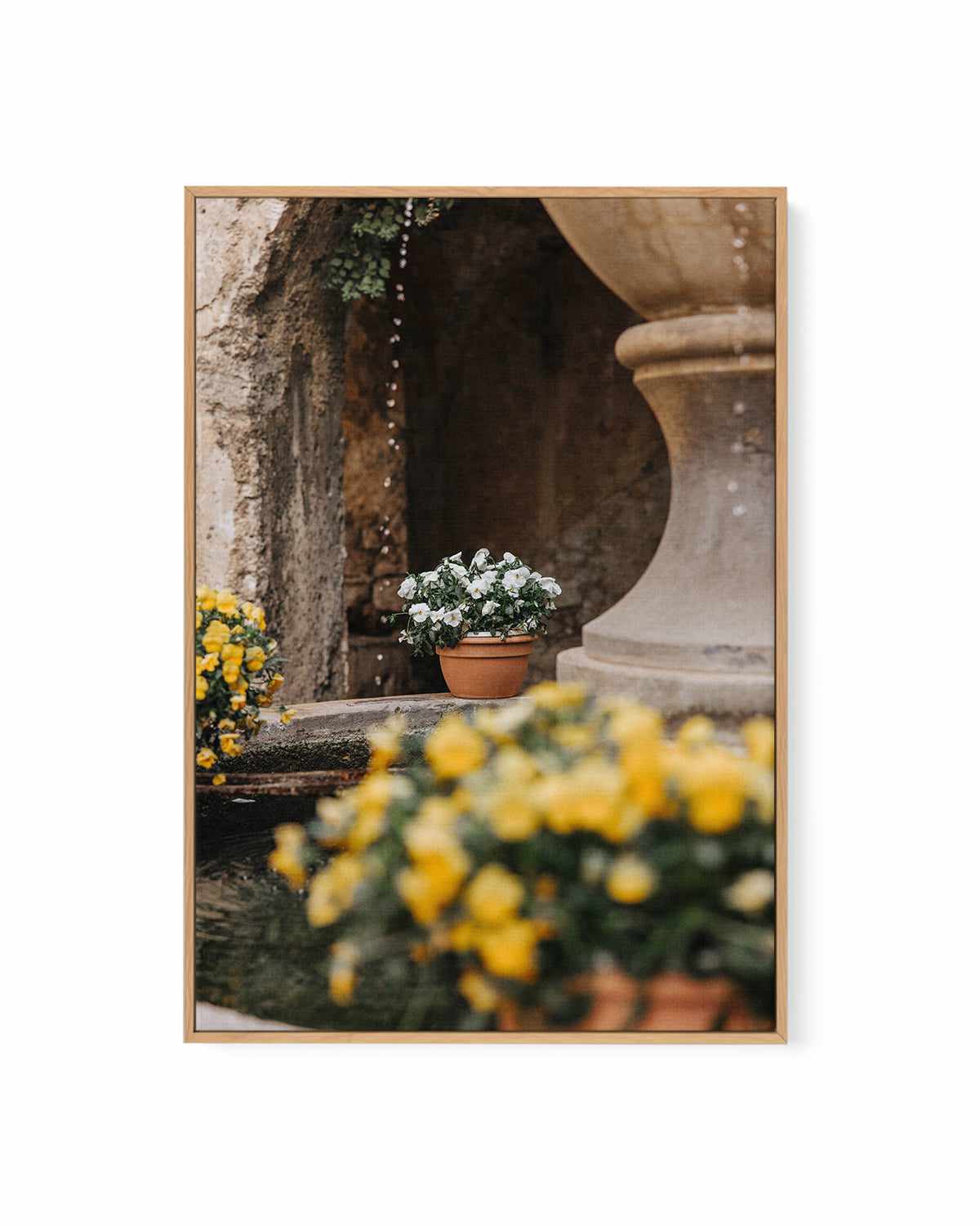 Floral III by Jovani Demetrie | Framed Canvas Art Print