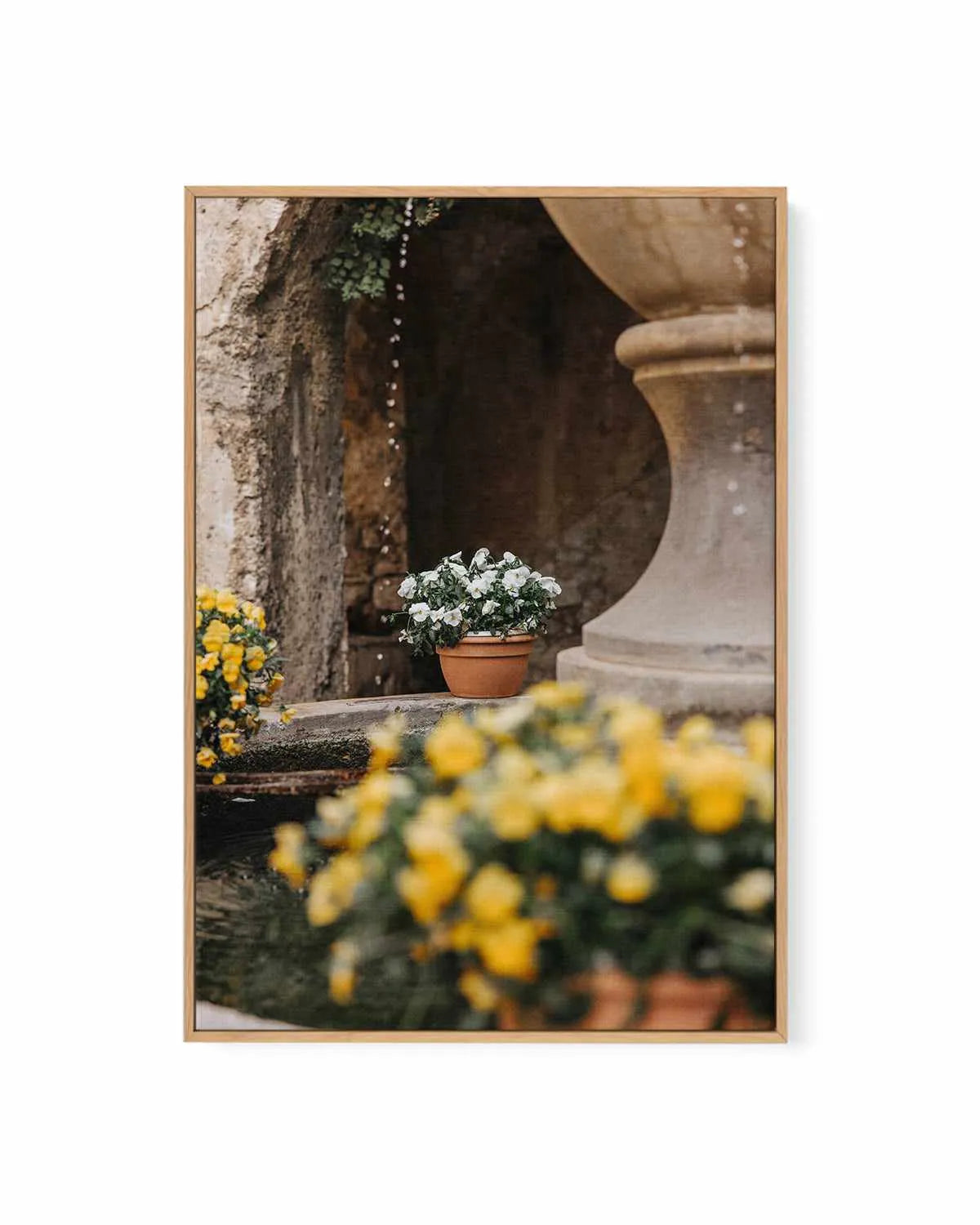 Floral III by Jovani Demetrie | Framed Canvas Art Print from Olive et Oriel where you can shop wallpaper and artworks online