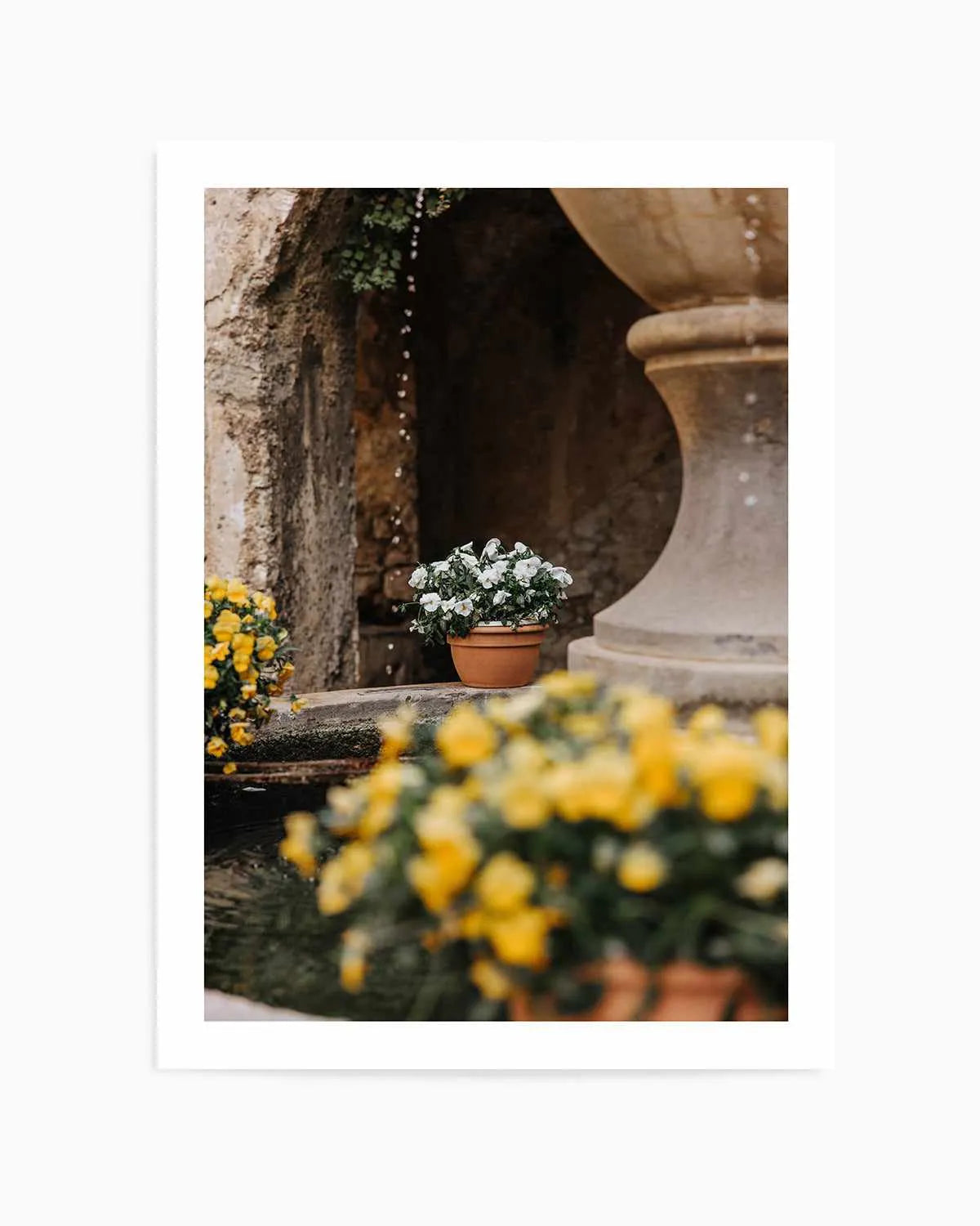 Floral III by Jovani Demetrie Art Print from Olive et Oriel where you can shop wallpaper and artworks online