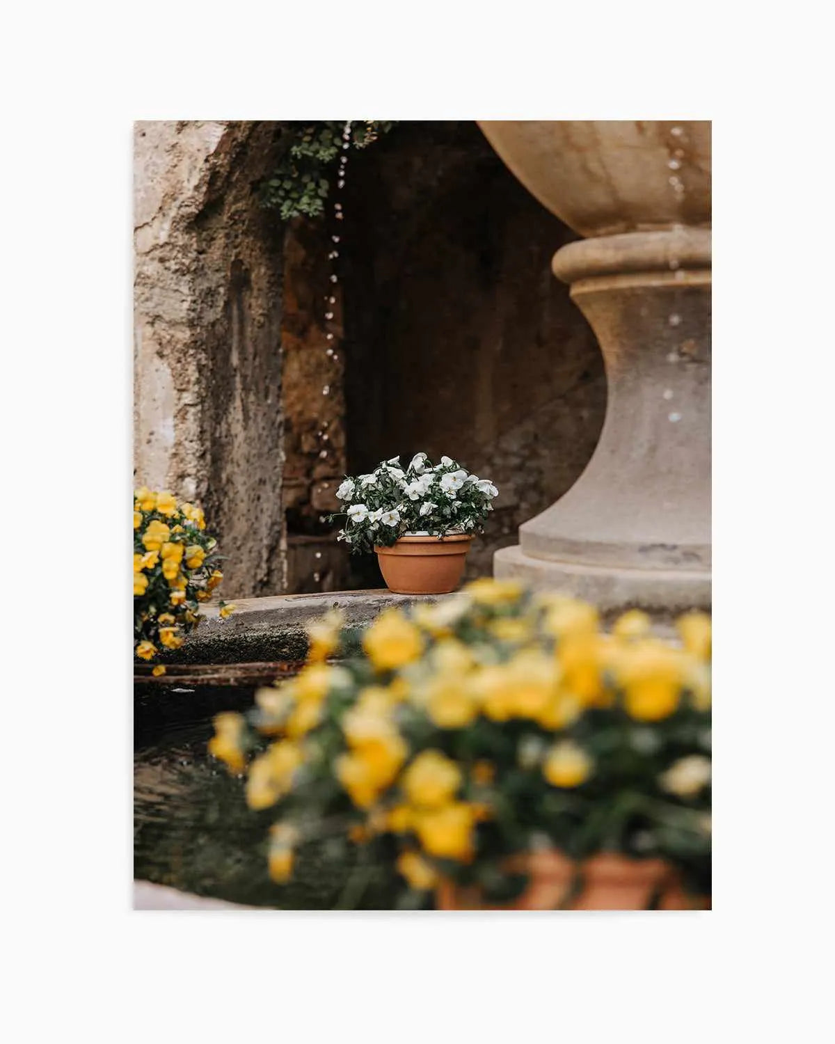 Floral III by Jovani Demetrie Art Print from Olive et Oriel where you can shop wallpaper and artworks online