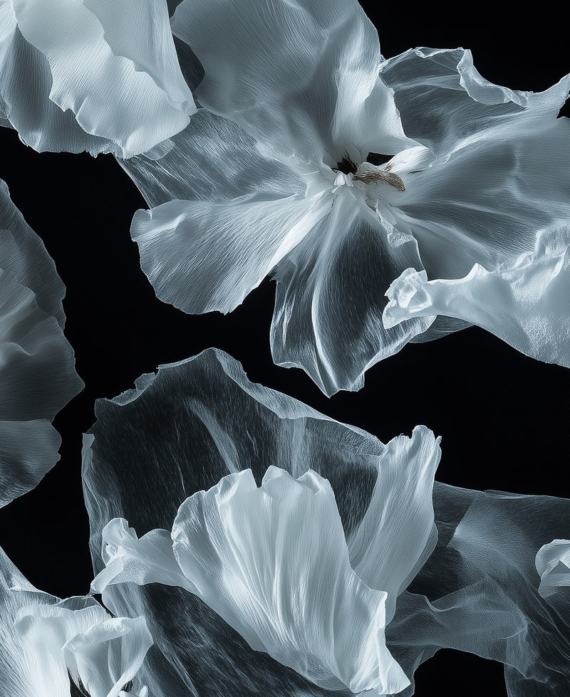 Floating White Floral Wallpaper from Olive et Oriel where you can shop wallpaper and artworks online