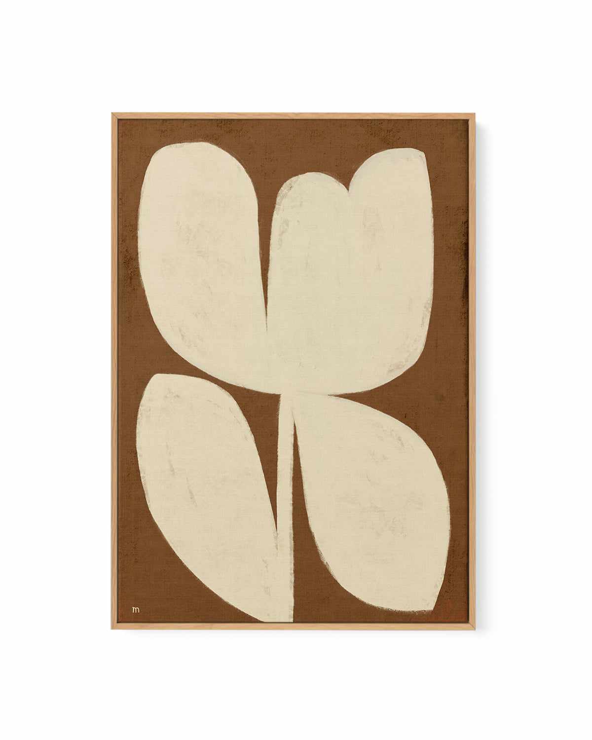 Flower I by Marco Marella | Framed Canvas Art Print