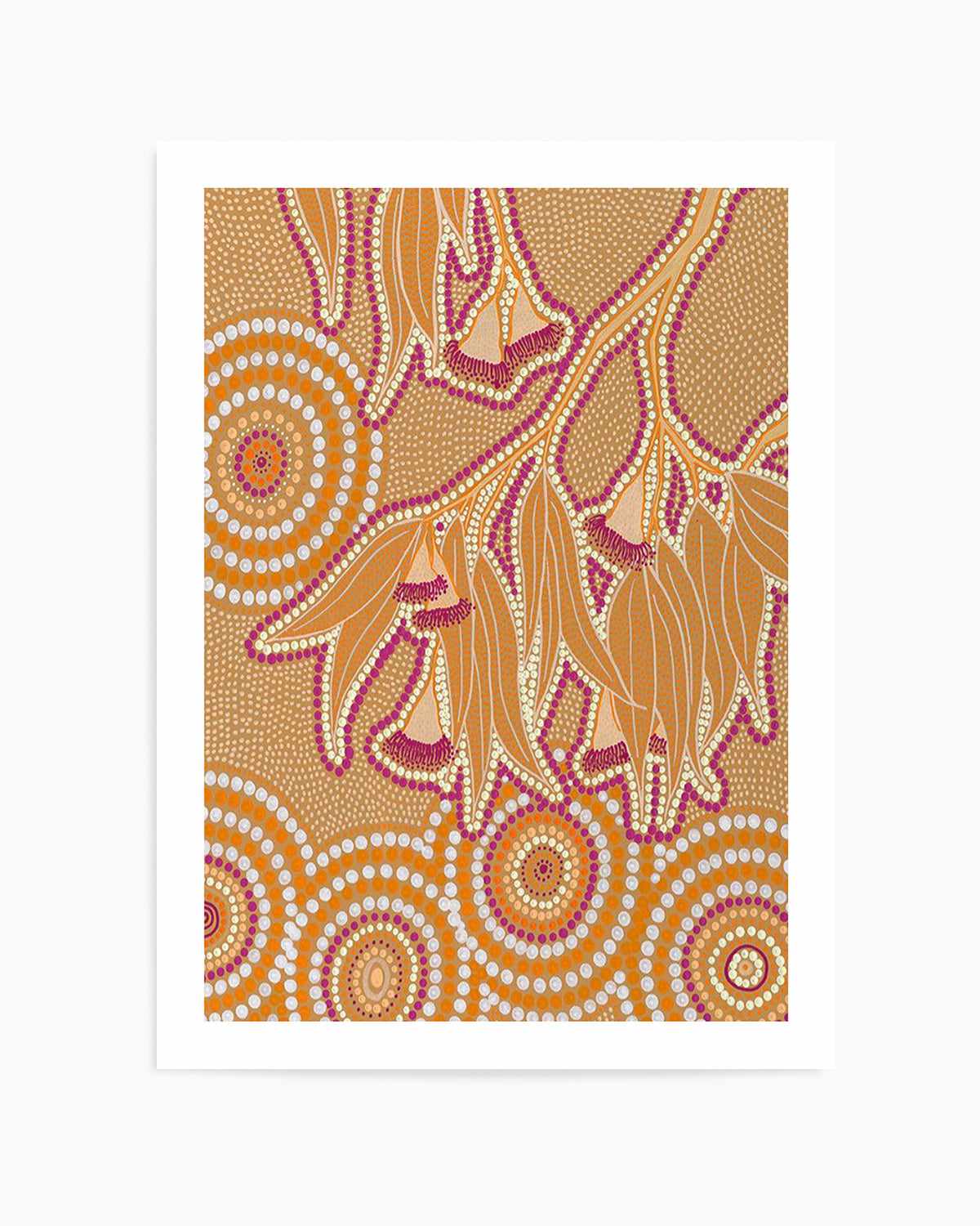 Flowering Gum By Domica Hill Art Print