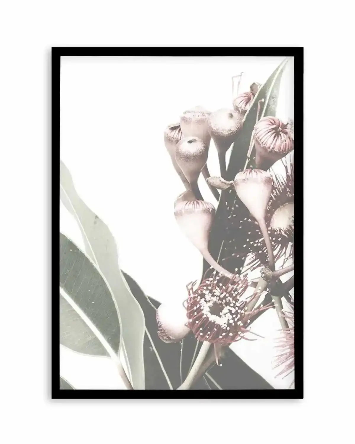 Flowering Gum I Art Print from Olive et Oriel where you can shop wallpaper and artworks online