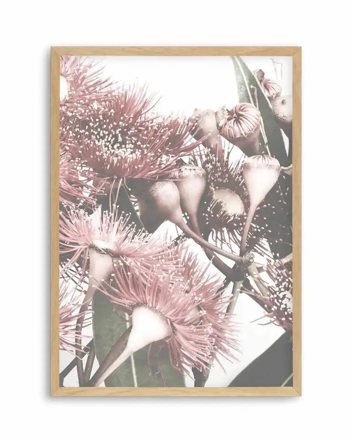 Flowering Gum II Art Print from Olive et Oriel where you can shop wallpaper and artworks online