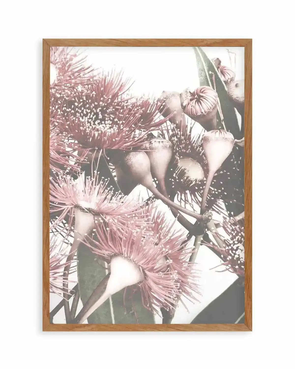 Flowering Gum II Art Print from Olive et Oriel where you can shop wallpaper and artworks online