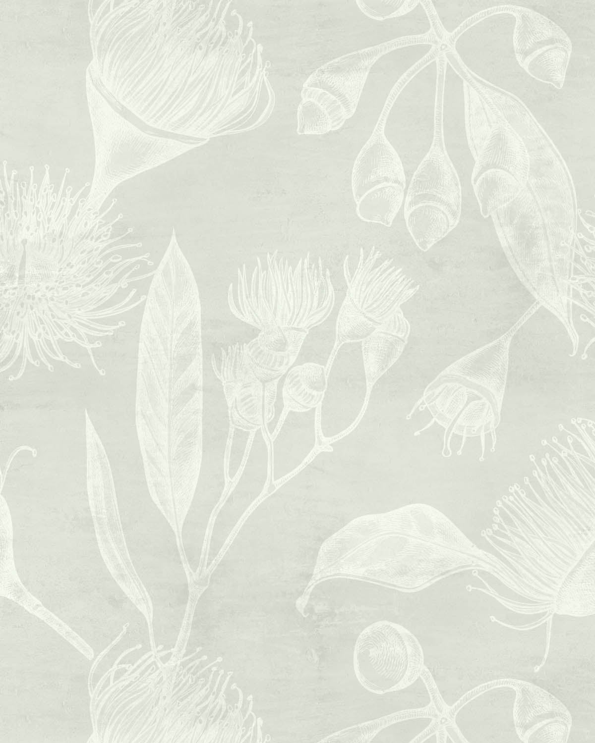 Flowering Gum in Sage Green Wallpaper