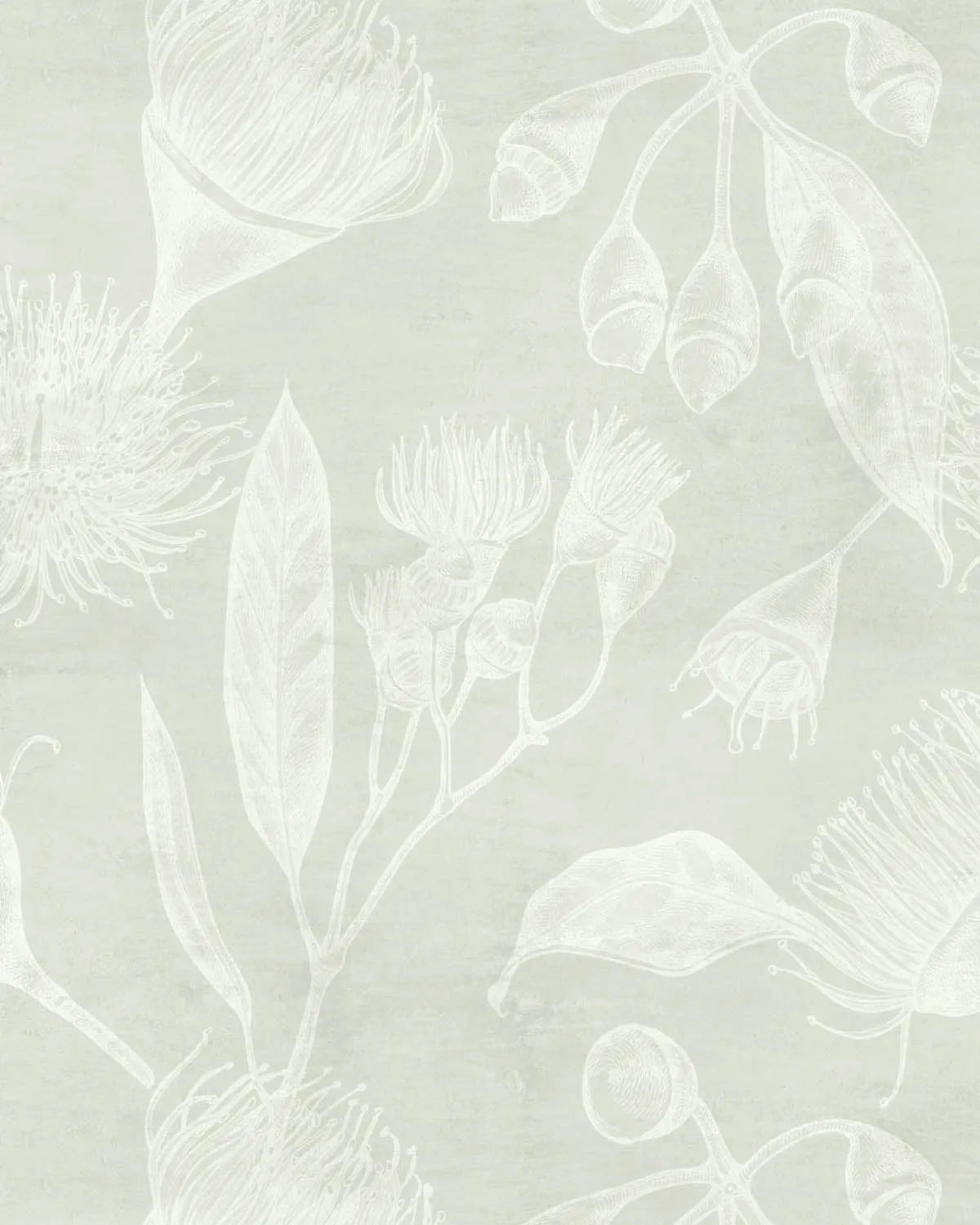 Flowering Gum in Sage Green Wallpaper from Olive et Oriel where you can shop wallpaper and artworks online