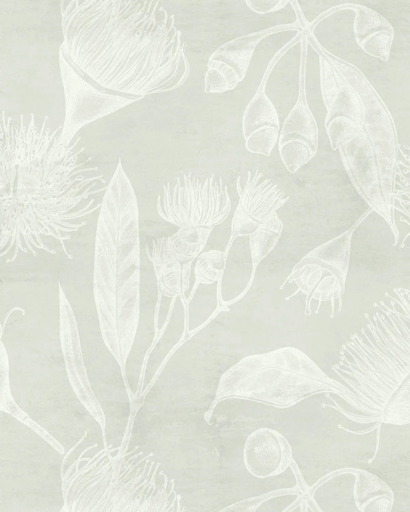 Flowering Gum in Sage Green Wallpaper from Olive et Oriel where you can shop wallpaper and artworks online