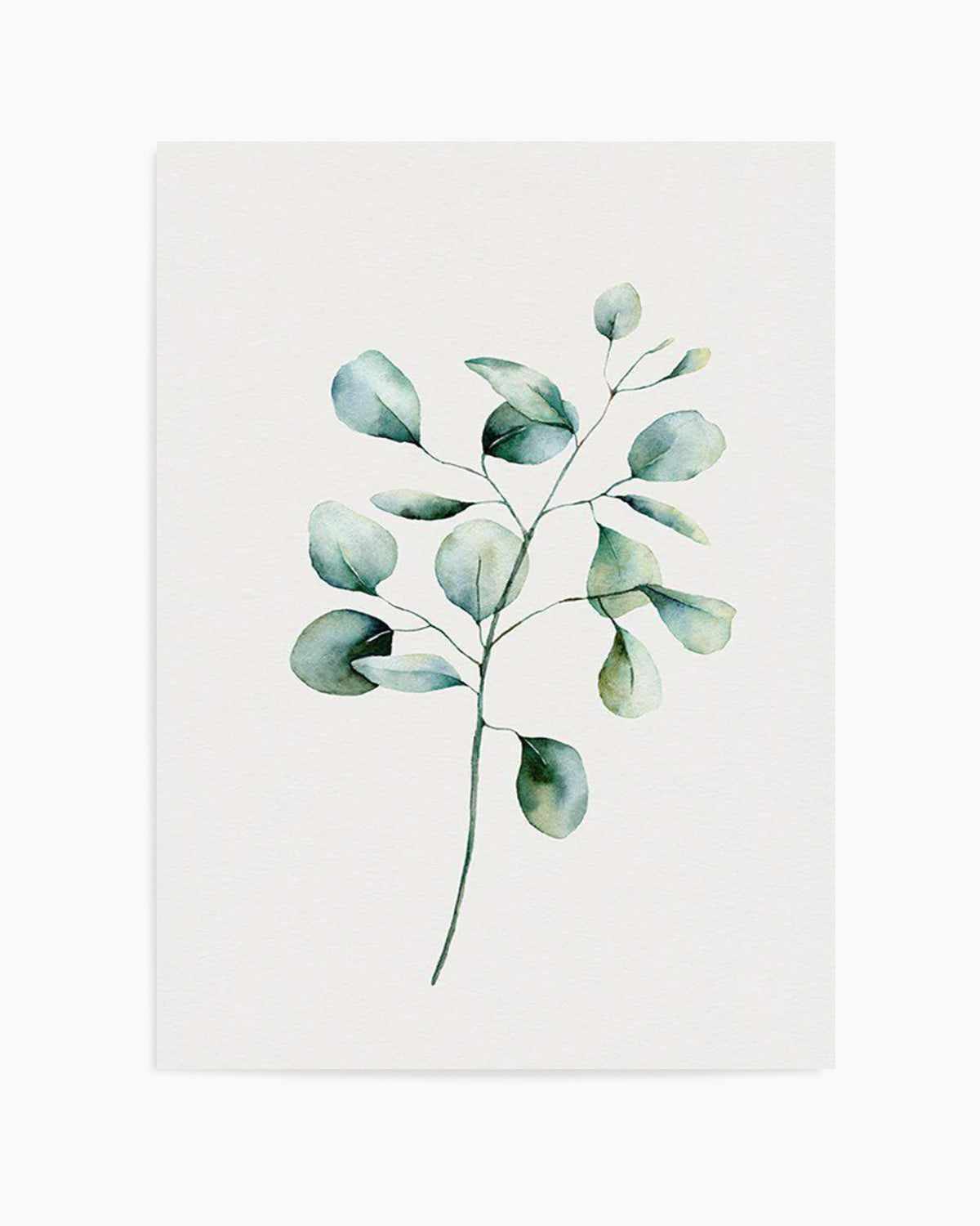 Foliage II Art Print