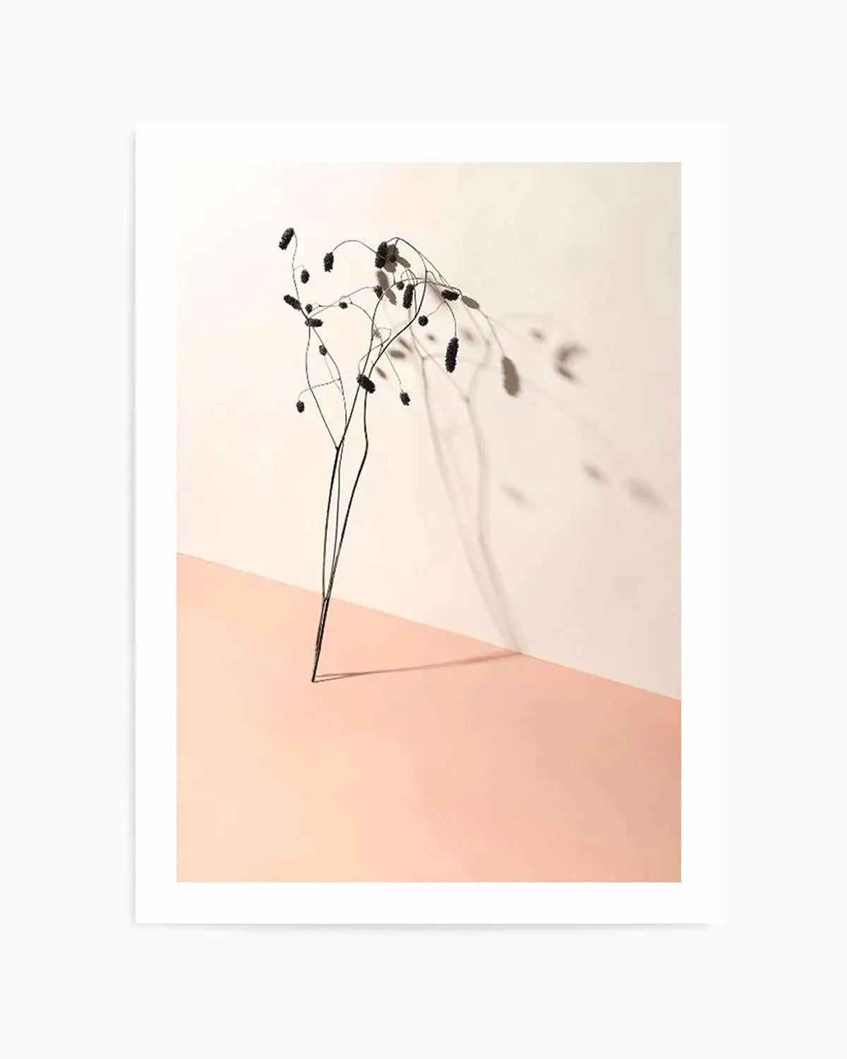 Foliage Shadow Art Print from Olive et Oriel where you can shop wallpaper and artworks online