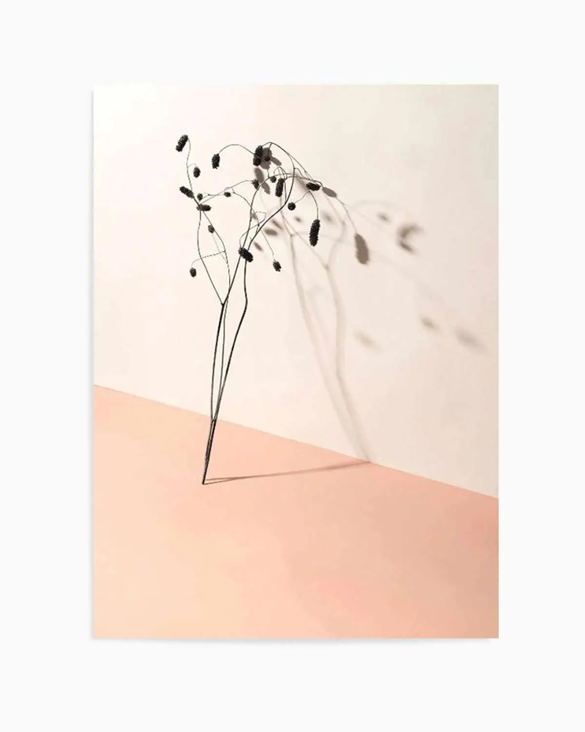 Foliage Shadow Art Print from Olive et Oriel where you can shop wallpaper and artworks online