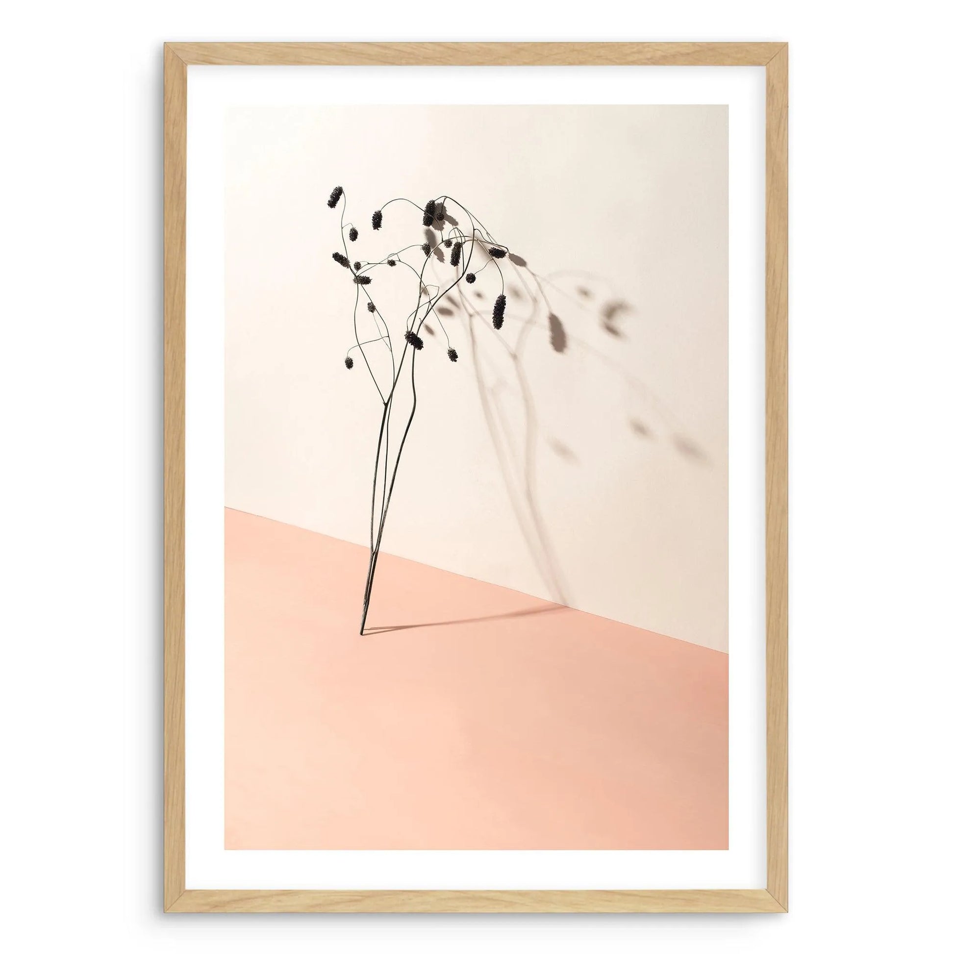 Foliage Shadow Art Print-PRINT-Olive et Oriel-Olive et Oriel-A5 | 5.8" x 8.3" | 14.8 x 21cm-Oak-With White Border-Buy-Australian-Art-Prints-Online-with-Olive-et-Oriel-Your-Artwork-Specialists-Austrailia-Decorate-With-Coastal-Photo-Wall-Art-Prints-From-Our-Beach-House-Artwork-Collection-Fine-Poster-and-Framed-Artwork