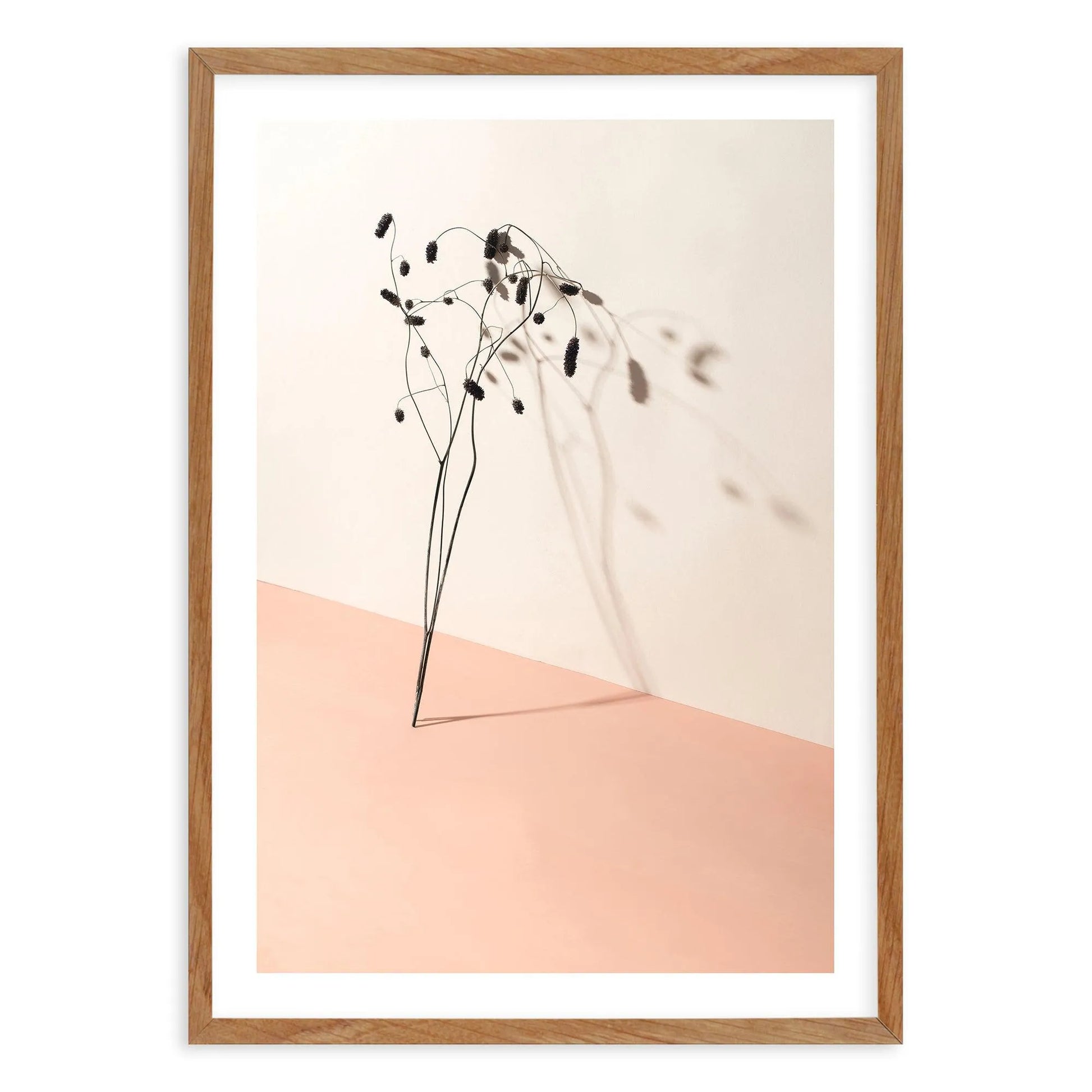 Foliage Shadow Art Print-PRINT-Olive et Oriel-Olive et Oriel-50x70 cm | 19.6" x 27.5"-Walnut-With White Border-Buy-Australian-Art-Prints-Online-with-Olive-et-Oriel-Your-Artwork-Specialists-Austrailia-Decorate-With-Coastal-Photo-Wall-Art-Prints-From-Our-Beach-House-Artwork-Collection-Fine-Poster-and-Framed-Artwork