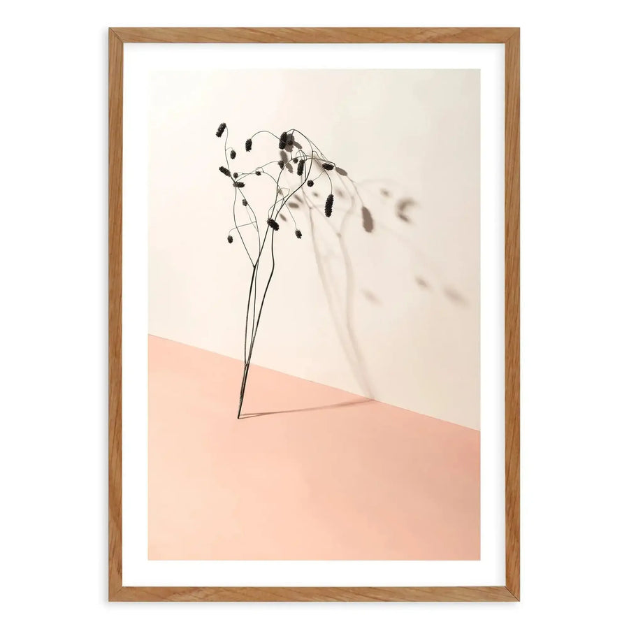 Foliage Shadow Art Print-PRINT-Olive et Oriel-Olive et Oriel-50x70 cm | 19.6" x 27.5"-Walnut-With White Border-Buy-Australian-Art-Prints-Online-with-Olive-et-Oriel-Your-Artwork-Specialists-Austrailia-Decorate-With-Coastal-Photo-Wall-Art-Prints-From-Our-Beach-House-Artwork-Collection-Fine-Poster-and-Framed-Artwork