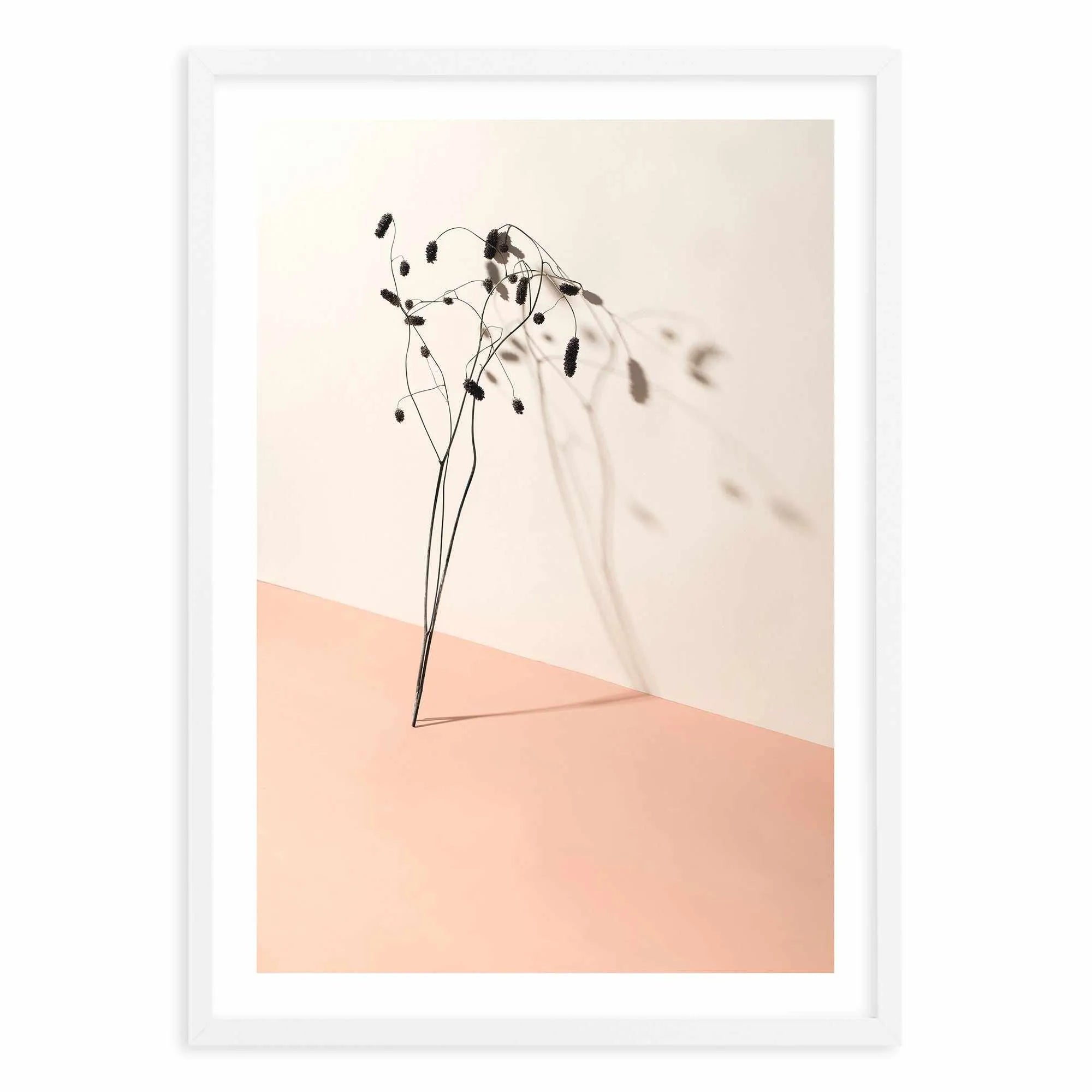 Foliage Shadow Art Print-PRINT-Olive et Oriel-Olive et Oriel-A5 | 5.8" x 8.3" | 14.8 x 21cm-White-With White Border-Buy-Australian-Art-Prints-Online-with-Olive-et-Oriel-Your-Artwork-Specialists-Austrailia-Decorate-With-Coastal-Photo-Wall-Art-Prints-From-Our-Beach-House-Artwork-Collection-Fine-Poster-and-Framed-Artwork