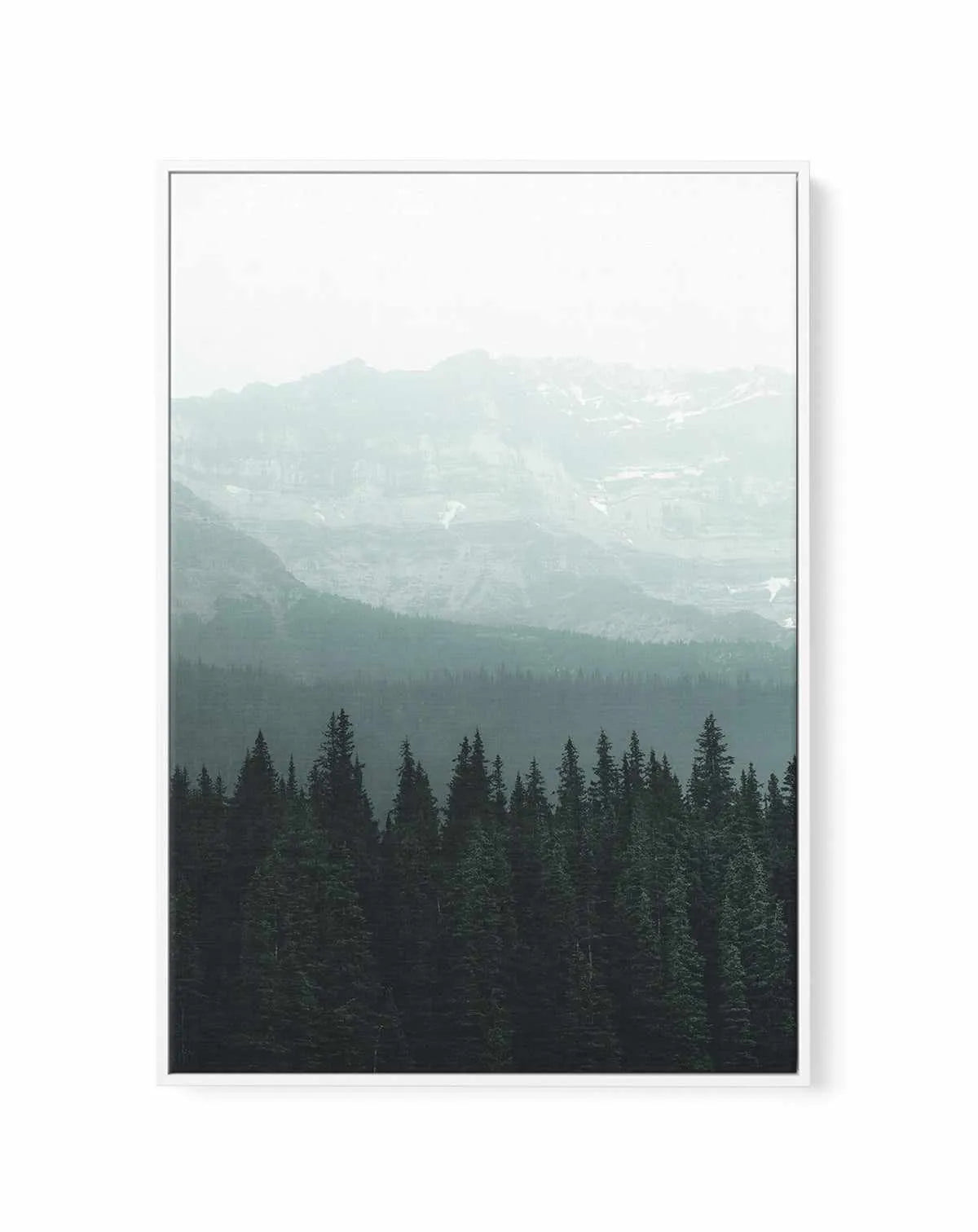 Forest by Kalen X | Framed Canvas Art Print from Olive et Oriel where you can shop wallpaper and artworks online