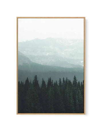 Forest by Kalen X | Framed Canvas Art Print from Olive et Oriel where you can shop wallpaper and artworks online