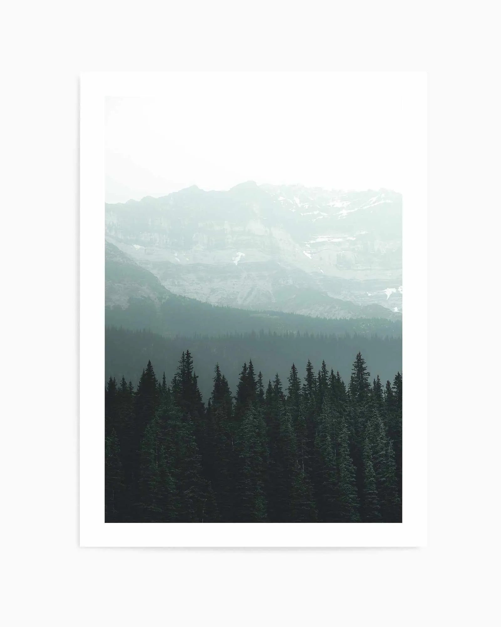 Forest by Kalen X | Art Print from Olive et Oriel where you can shop wallpaper and artworks online