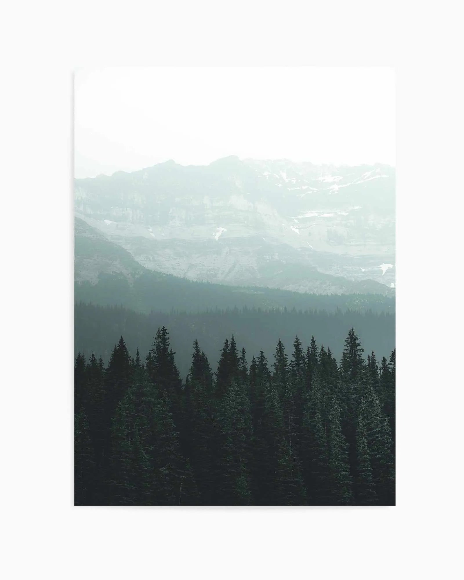 Forest by Kalen X | Art Print from Olive et Oriel where you can shop wallpaper and artworks online