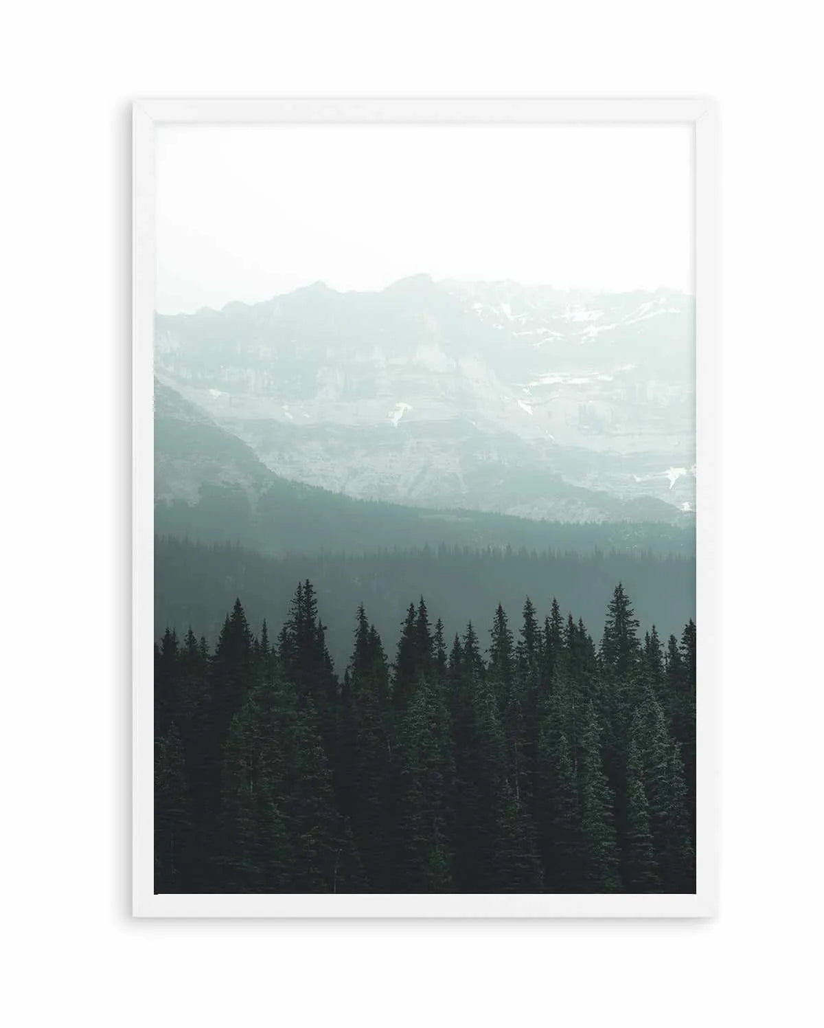 Forest by Kalen X | Art Print from Olive et Oriel where you can shop wallpaper and artworks online