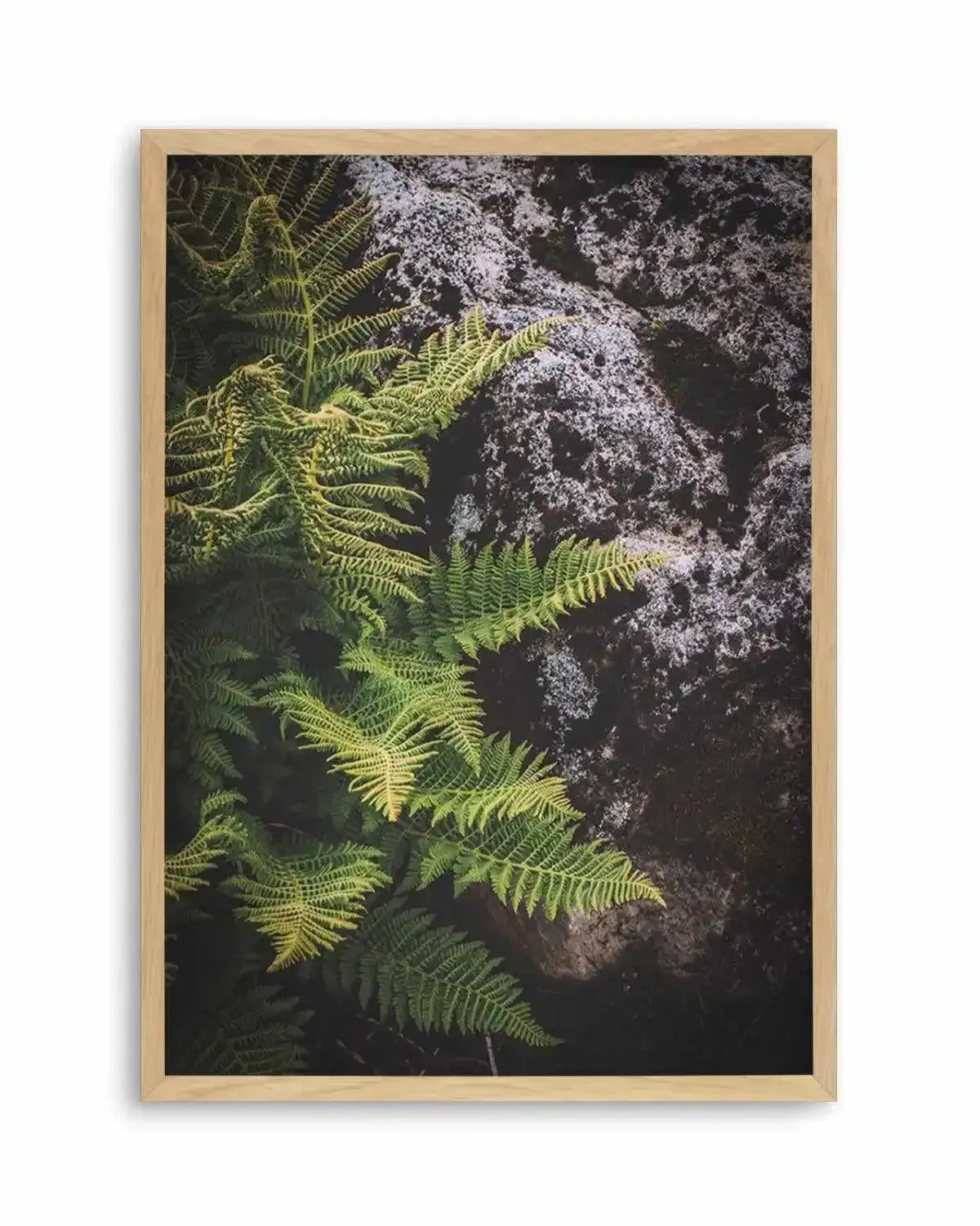 Forest Fern I Art Print from Olive et Oriel where you can shop wallpaper and artworks online