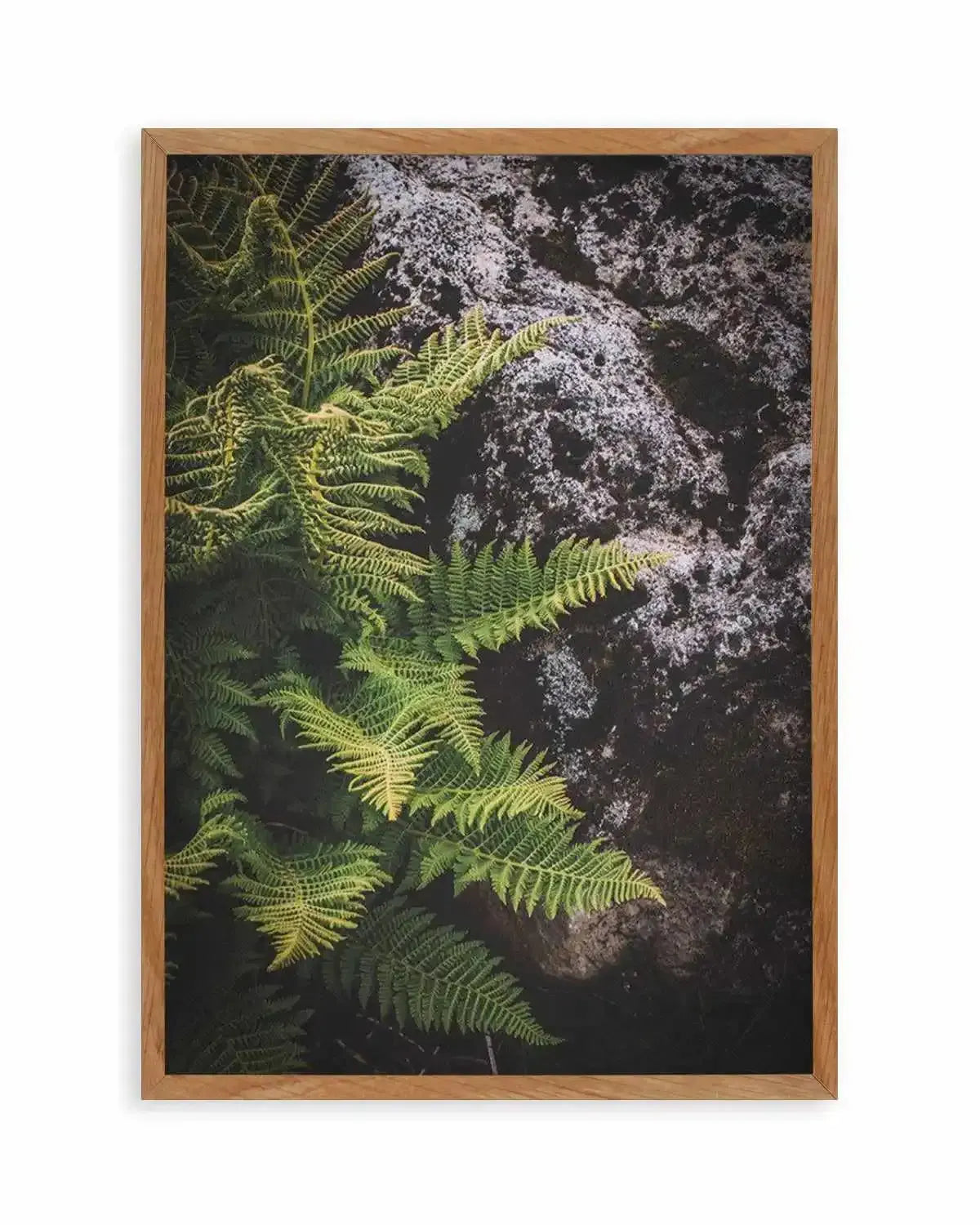Forest Fern I Art Print from Olive et Oriel where you can shop wallpaper and artworks online