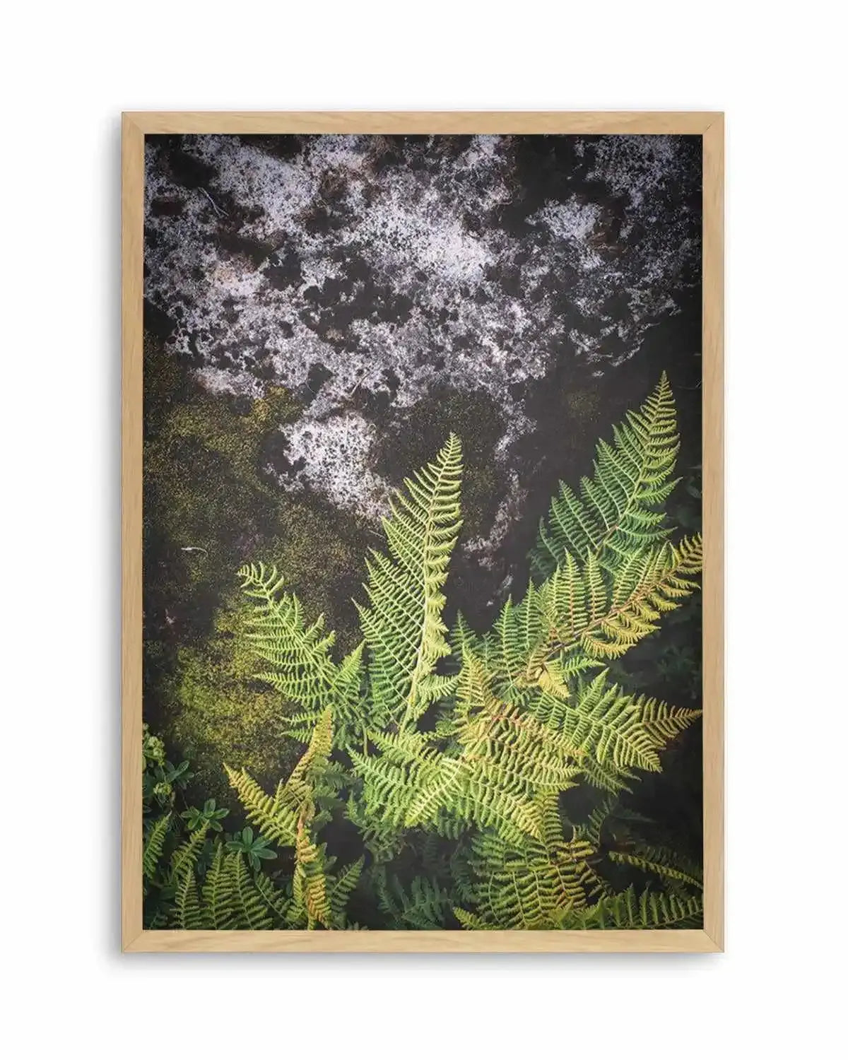 Forest Fern II Art Print from Olive et Oriel where you can shop wallpaper and artworks online