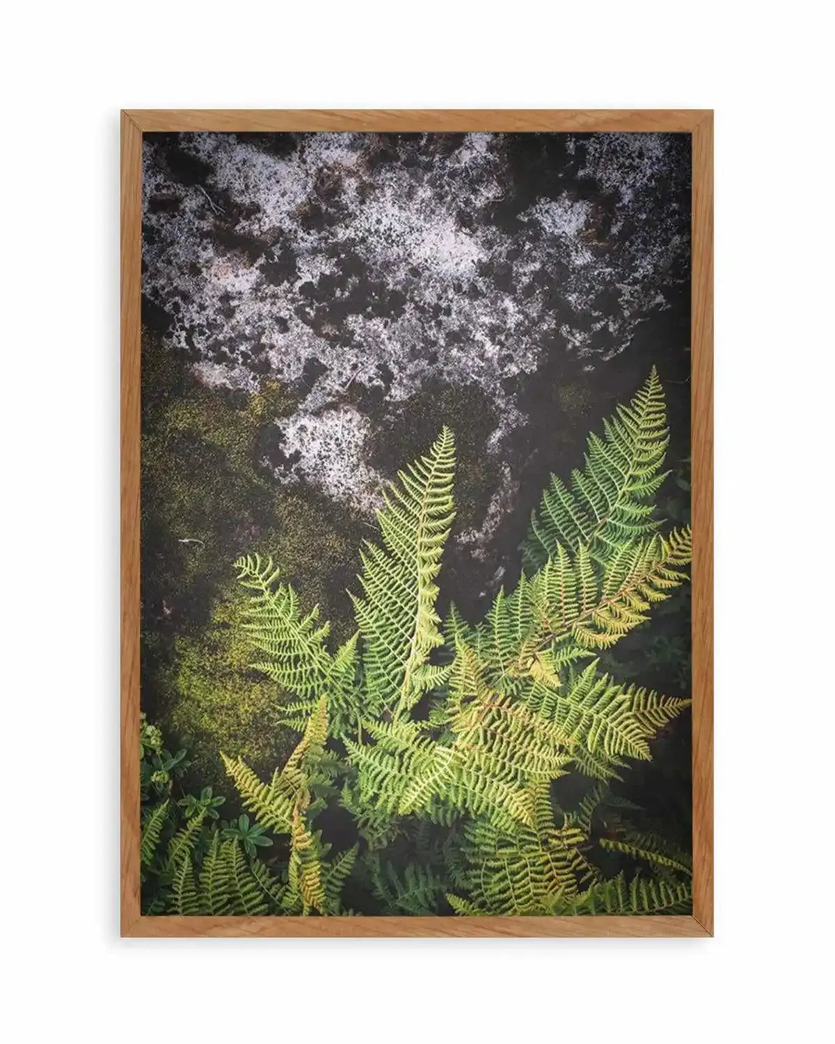 Forest Fern II Art Print from Olive et Oriel where you can shop wallpaper and artworks online