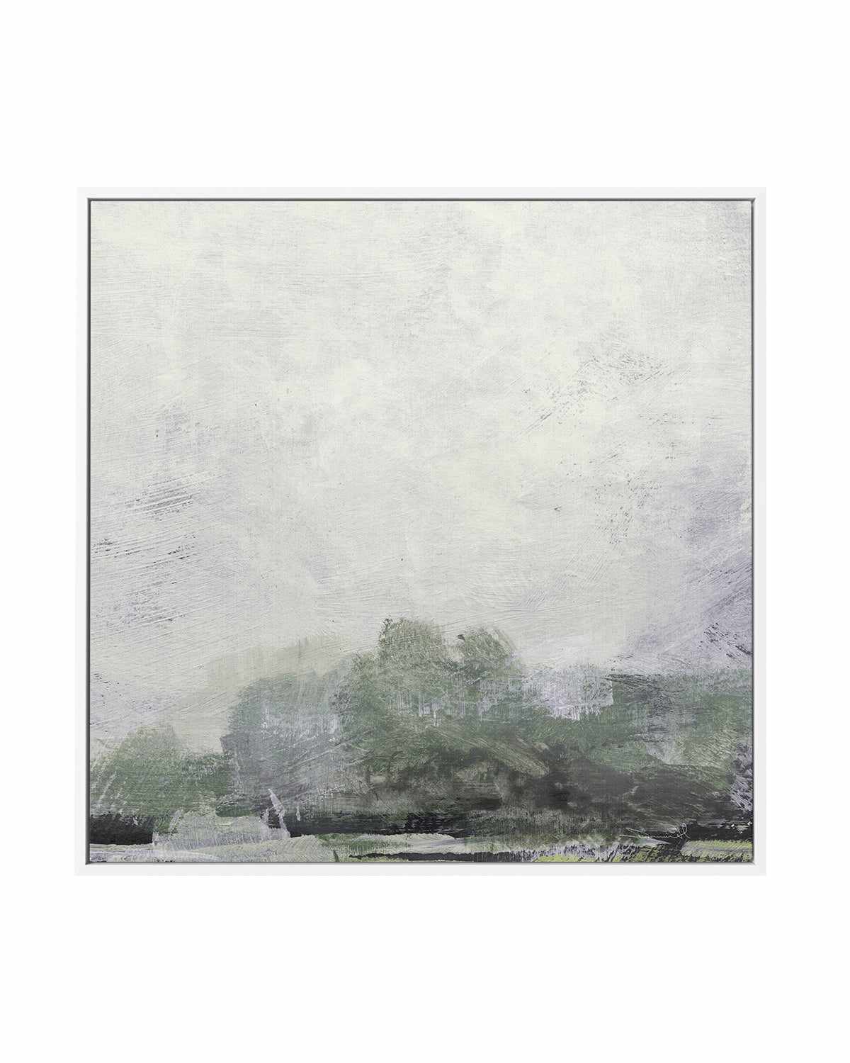 Forest II SQ by Dan Hobday | Framed Canvas Art Print