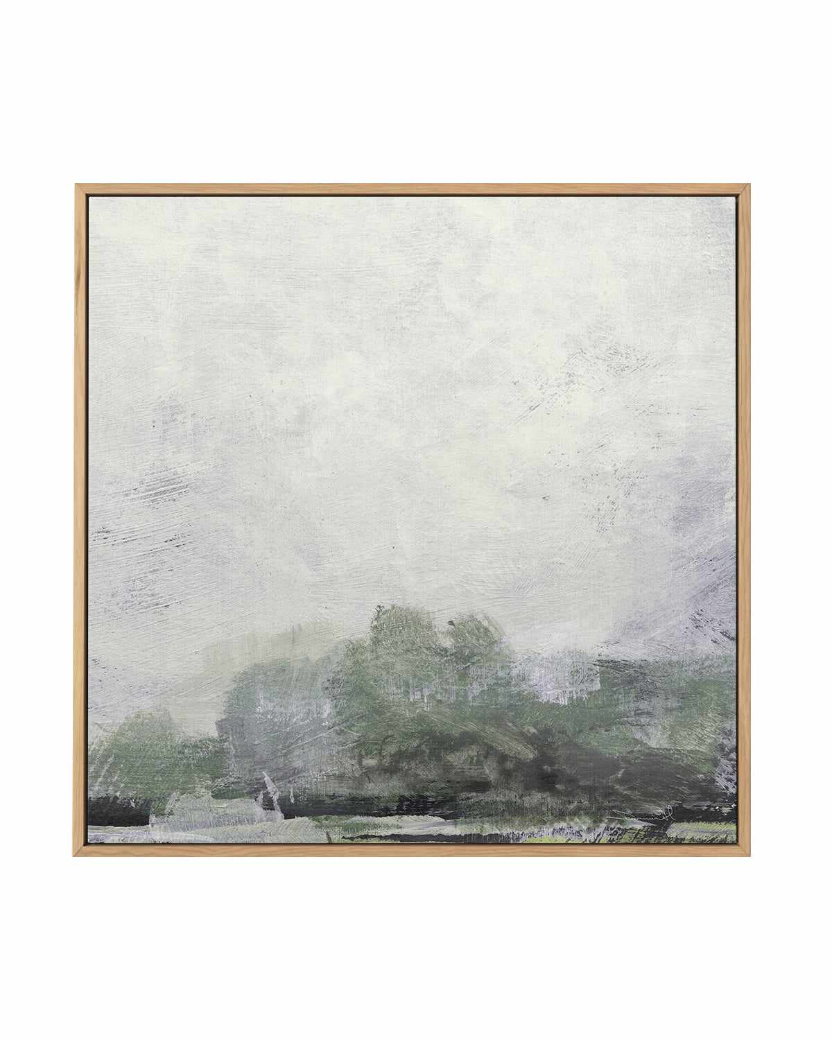 Forest II SQ by Dan Hobday | Framed Canvas Art Print