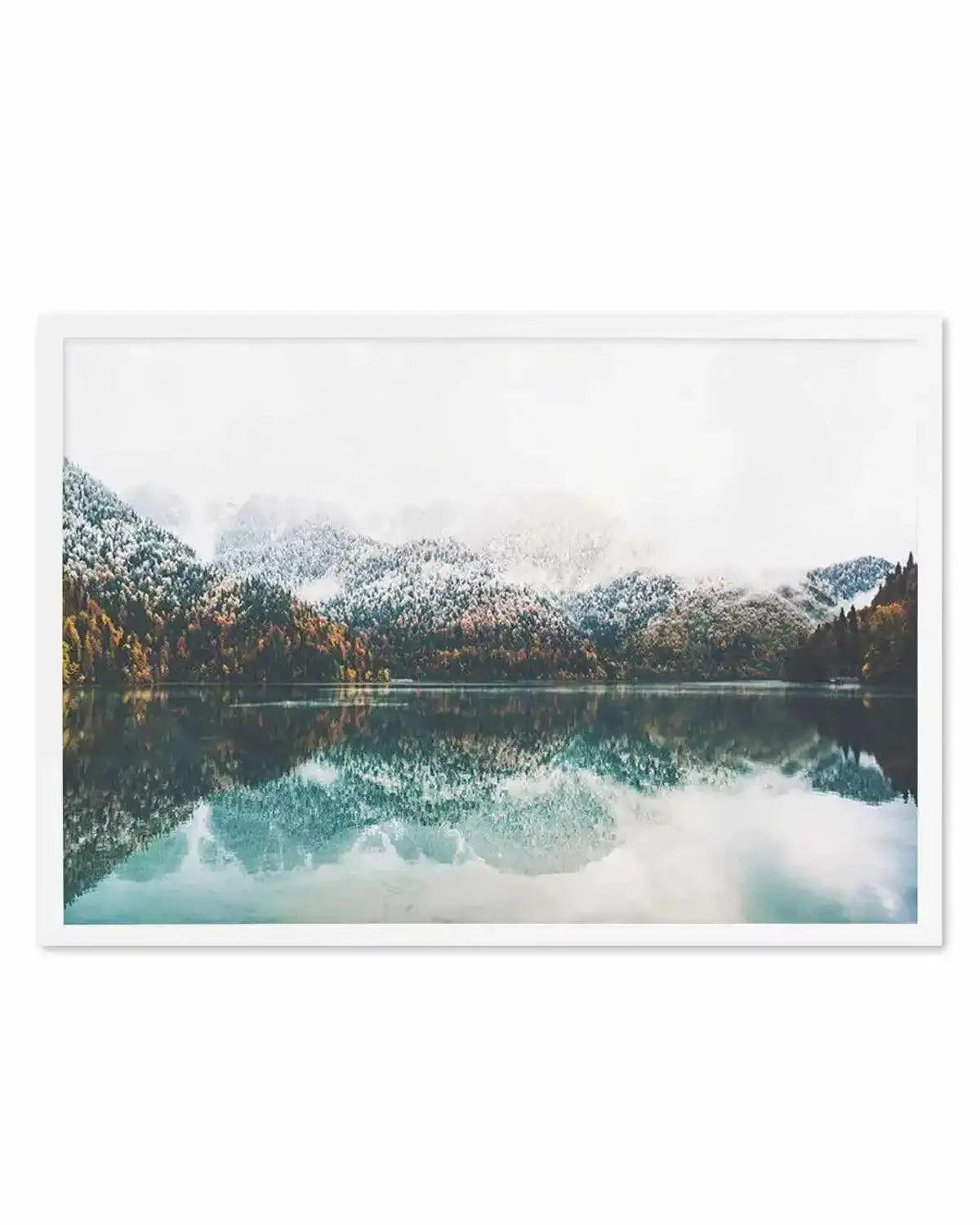Forest Reflections Art Print from Olive et Oriel where you can shop wallpaper and artworks online