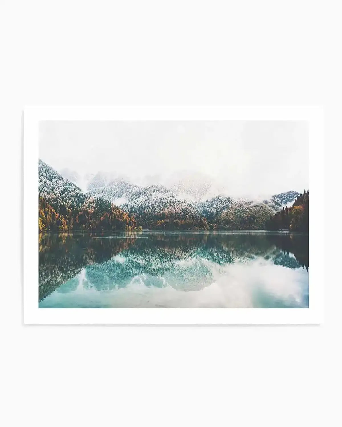 Forest Reflections Art Print from Olive et Oriel where you can shop wallpaper and artworks online