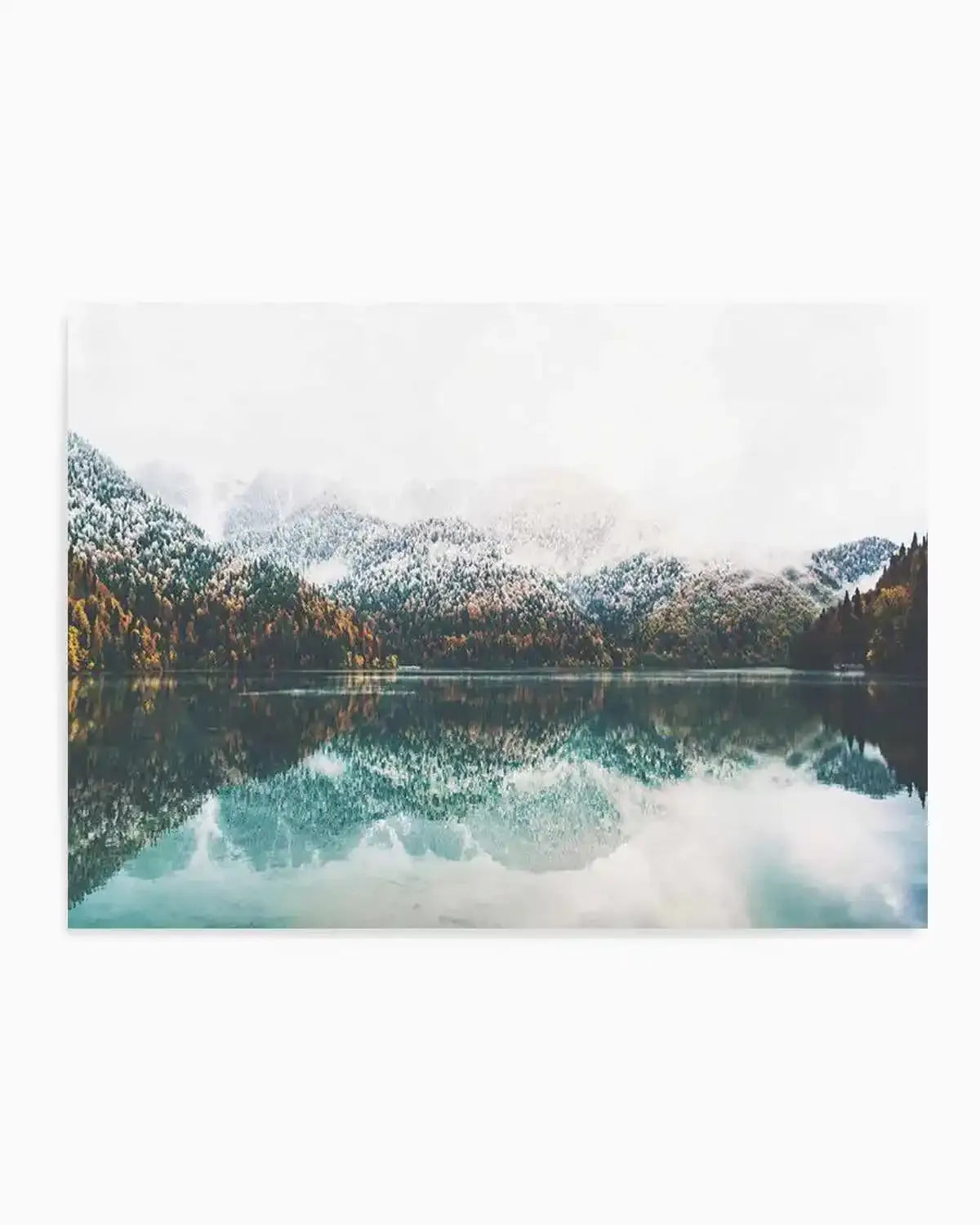 Forest Reflections Art Print from Olive et Oriel where you can shop wallpaper and artworks online