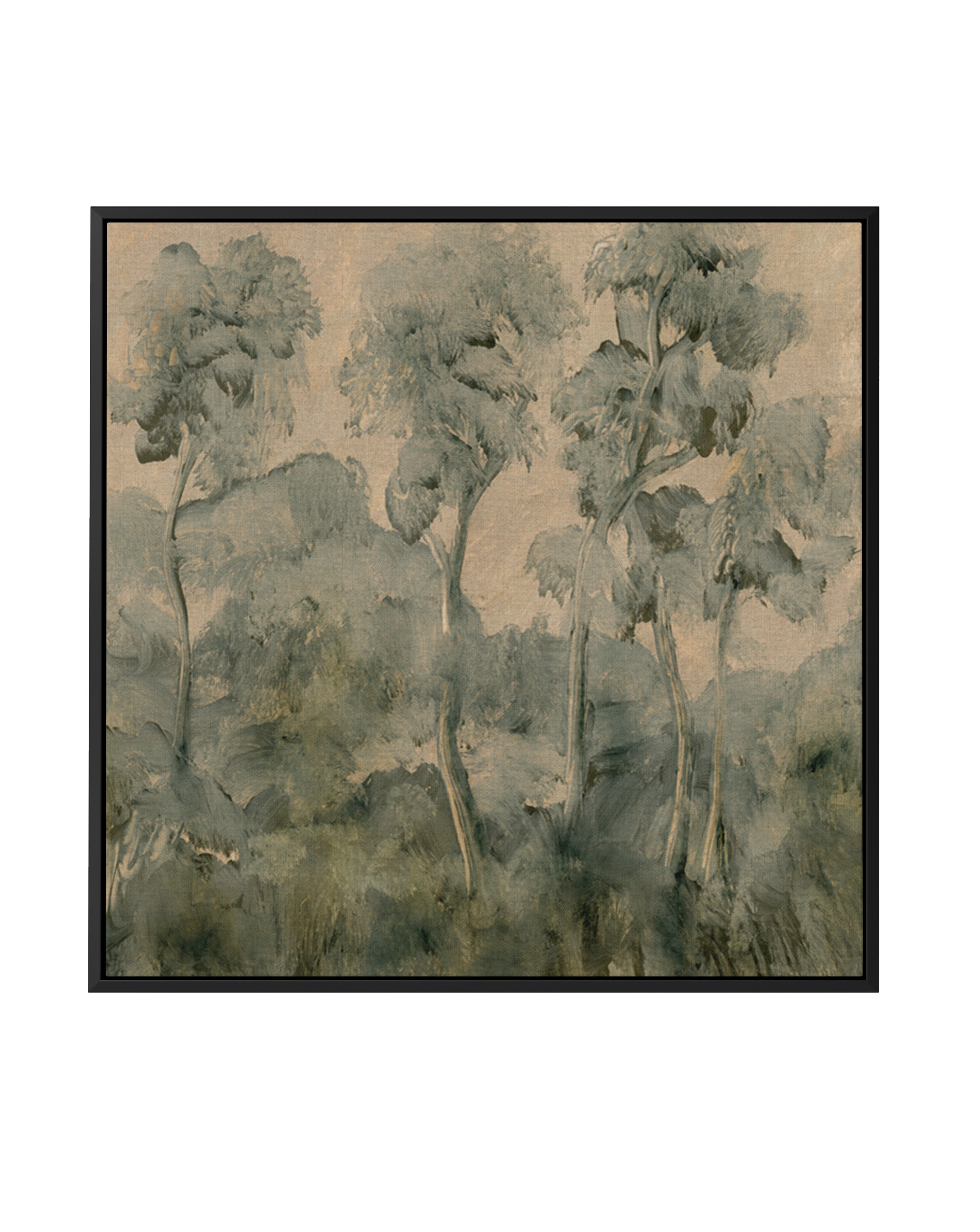 Forgotten Forest by Dan Hobday | Framed Canvas Art Print