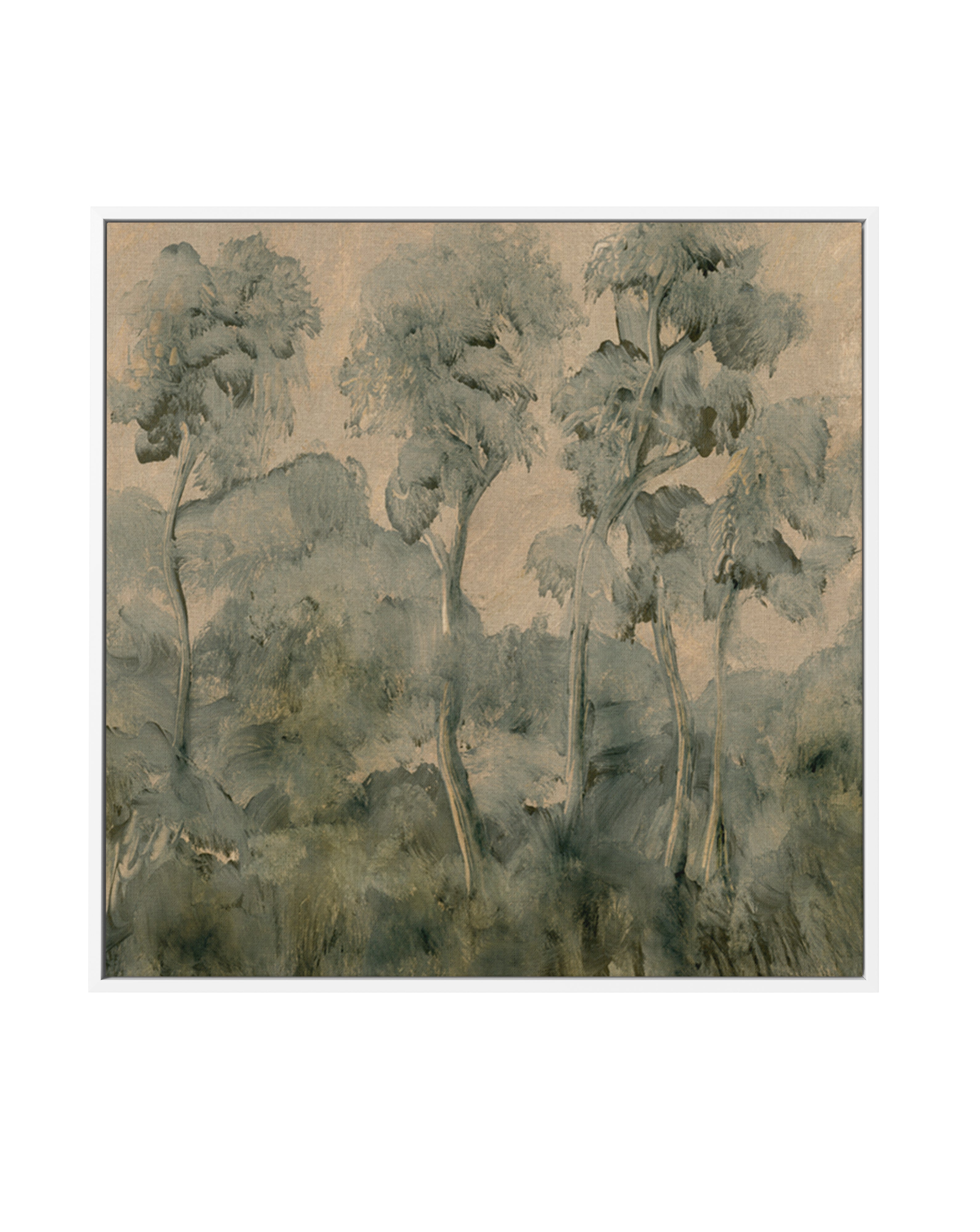 Forgotten Forest by Dan Hobday | Framed Canvas Art Print
