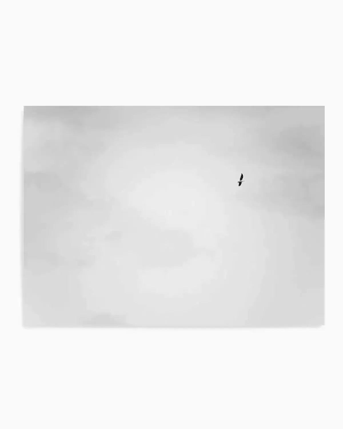 Freedom II Art Print from Olive et Oriel where you can shop wallpaper and artworks online