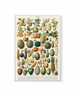 Fruit Chart Vintage Poster | Framed Canvas Art Print