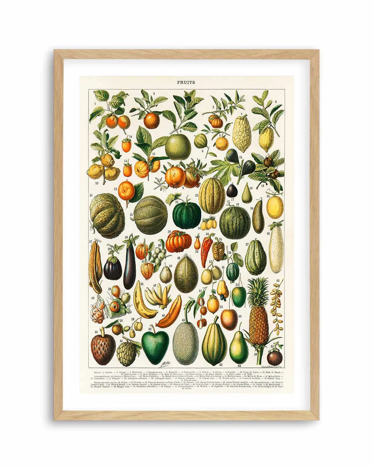 Fruit Chart Vintage Poster Art Print from Olive et Oriel where you can shop wallpaper and artworks online