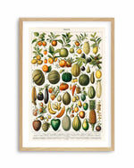 Fruit Chart Vintage Poster Art Print