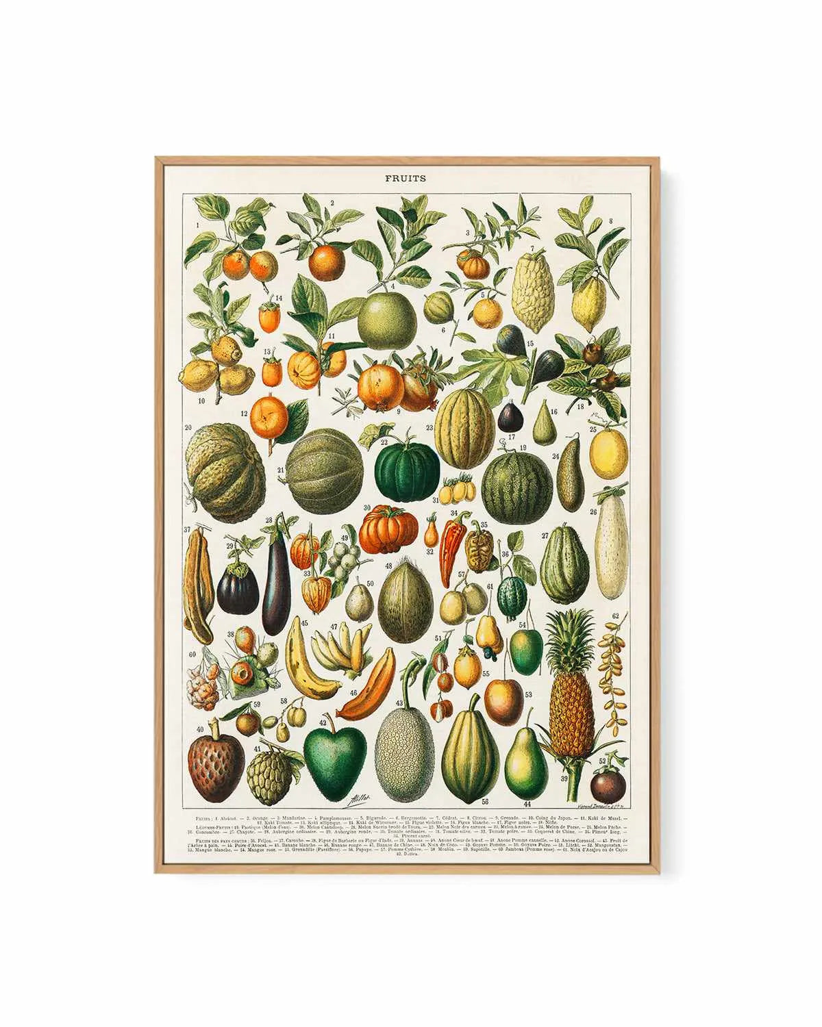 Fruit Chart Vintage Poster | Framed Canvas Art Print from Olive et Oriel where you can shop wallpaper and artworks online