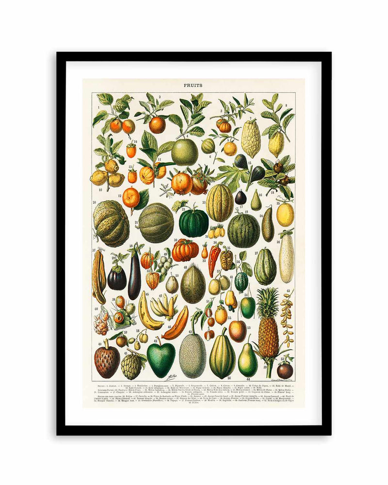 Fruit Chart Vintage Poster Art Print
