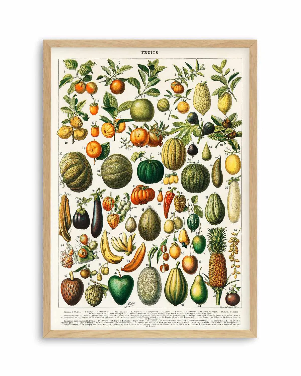 Fruit Chart Vintage Poster Art Print from Olive et Oriel where you can shop wallpaper and artworks online