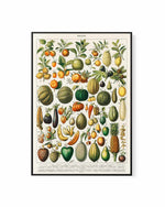 Fruit Chart Vintage Poster | Framed Canvas Art Print