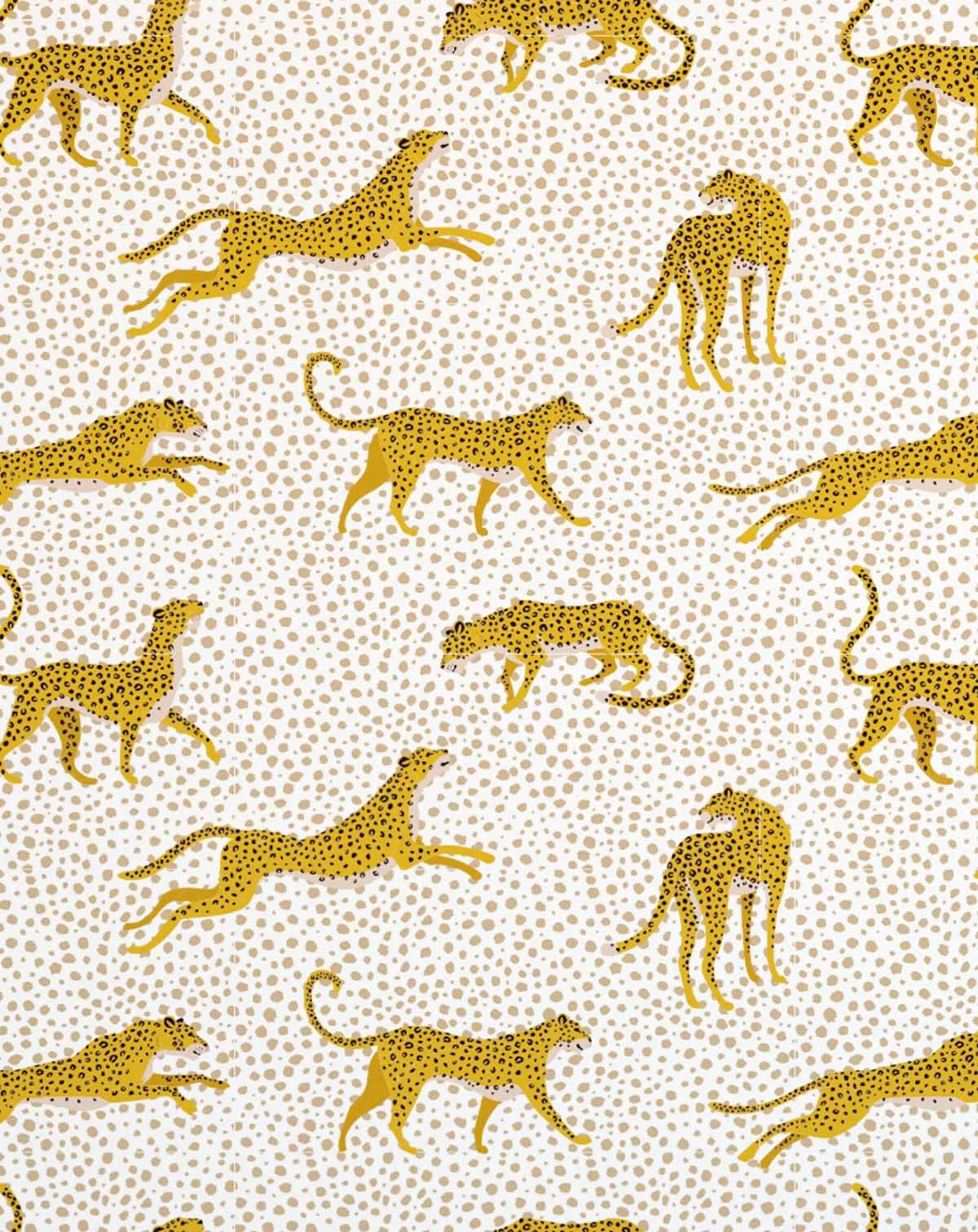 Fun Leopards Wallpaper-Wallpaper-Buy Kids Removable Wallpaper Online Our Custom Made Children‚àö¬¢‚Äö√á¬®‚Äö√ë¬¢s Wallpapers Are A Fun Way To Decorate And Enhance Boys Bedroom Decor And Girls Bedrooms They Are An Amazing Addition To Your Kids Bedroom Walls Our Collection of Kids Wallpaper Is Sure To Transform Your Kids Rooms Interior Style From Pink Wallpaper To Dinosaur Wallpaper Even Marble Wallpapers For Teen Boys Shop Peel And Stick Wallpaper Online Today With Olive et Oriel