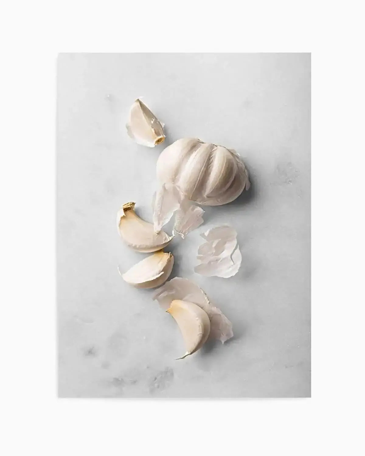 Garlic Art Print from Olive et Oriel where you can shop wallpaper and artworks online
