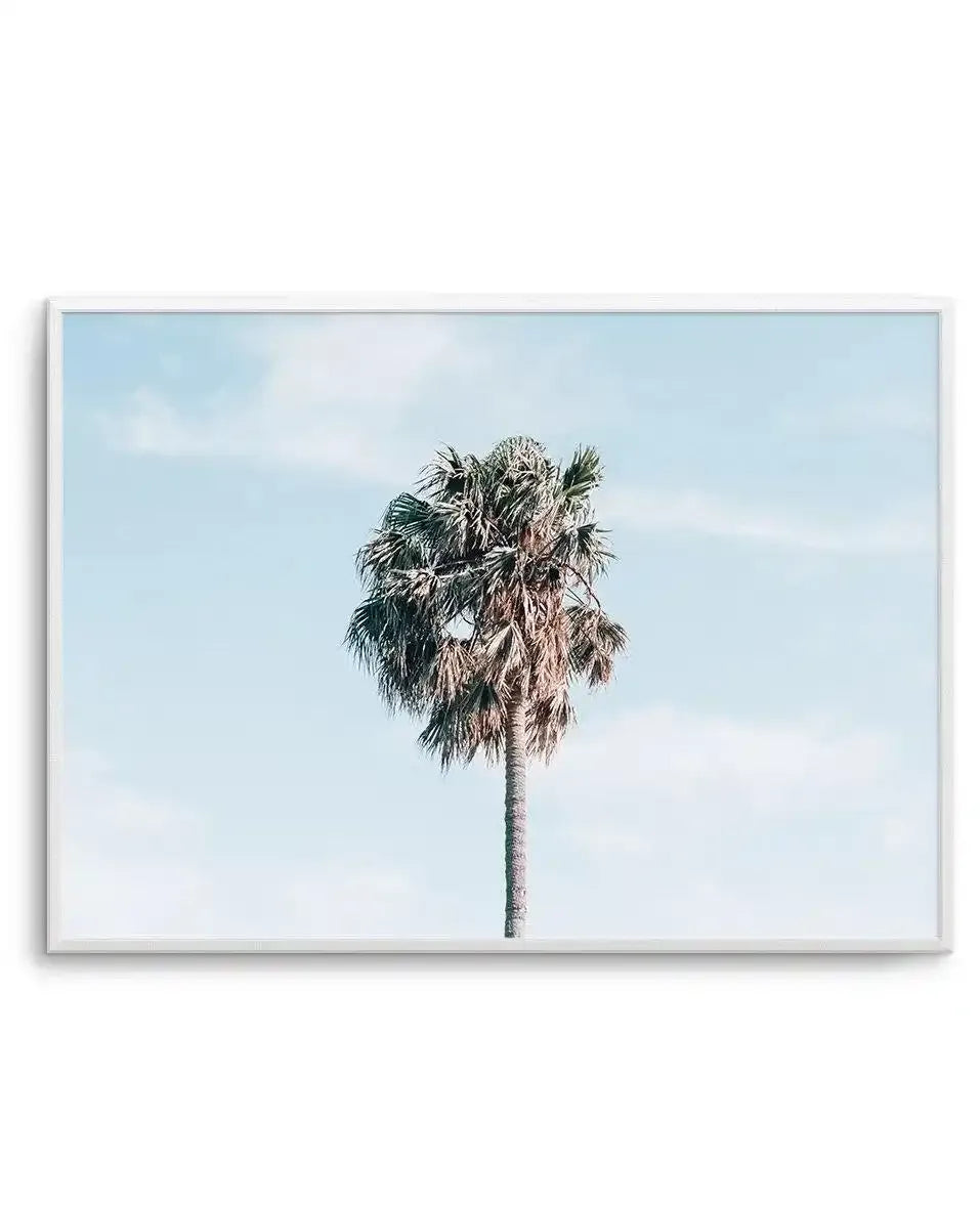 Gerringong Palm | LS Art Print-PRINT-Olive et Oriel-Olive et Oriel-A4 | 8.3" x 11.7" | 21 x 29.7cm-Unframed Art Print-With White Border-Buy-Australian-Art-Prints-Online-with-Olive-et-Oriel-Your-Artwork-Specialists-Austrailia-Decorate-With-Coastal-Photo-Wall-Art-Prints-From-Our-Beach-House-Artwork-Collection-Fine-Poster-and-Framed-Artwork